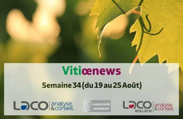 Vitiœnews - Semaine 34 - 2024