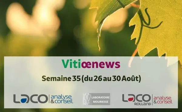 Vitiœnews - Semaine 35 - 2024