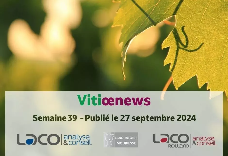 Vitiœnews - Semaine 39 - 2024