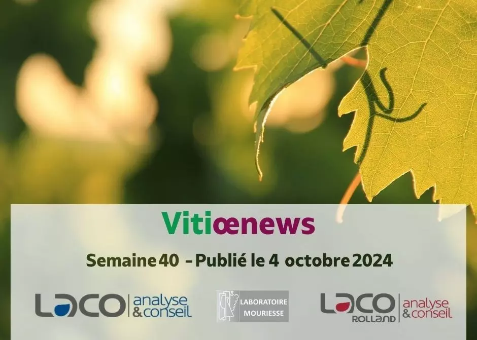 Vitiœnews - Semaine 40 - 2024