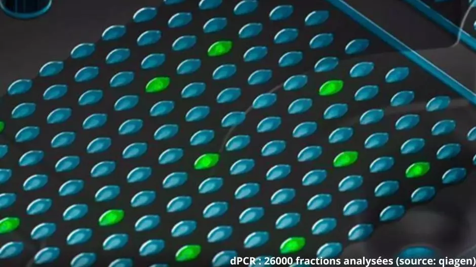 LACO se dote de la Digital PCR : une réponse technique aux défis de Brettanomyces