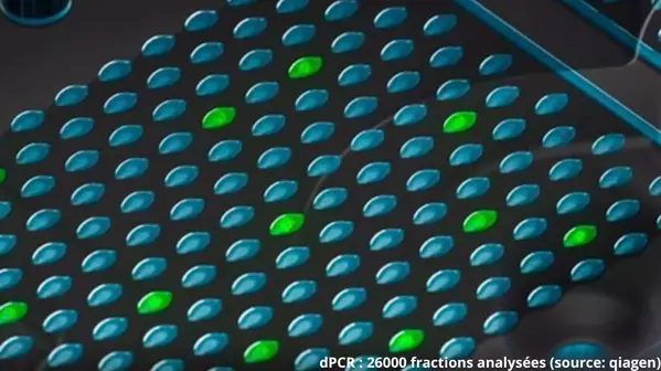 LACO se dote de la Digital PCR : une réponse technique aux défis de Brettanomyces