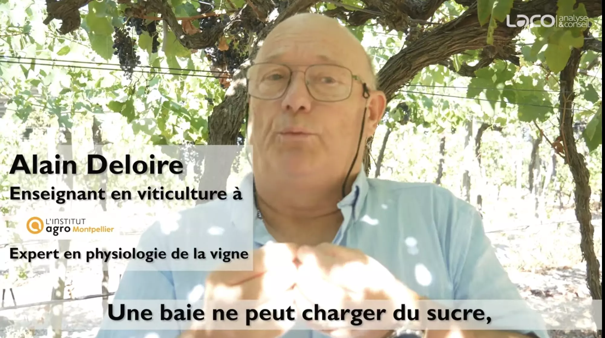 Des vins de degré élevé