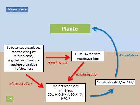 matieres organiques